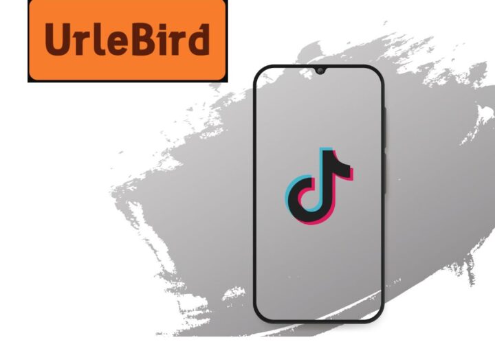 UrleBird - Your Manual For Watching TikTok Videos On The Internet.